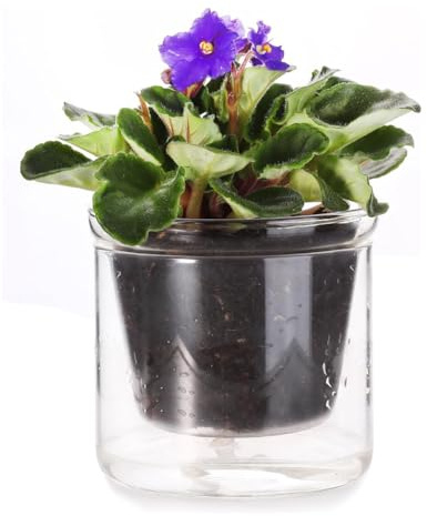 Ujjdwiurgh Maceta de riego automático de 4 pulgadas, maceta de cristal de riego inferior para plantas de interior y progagación para orquídeas violetas africanas