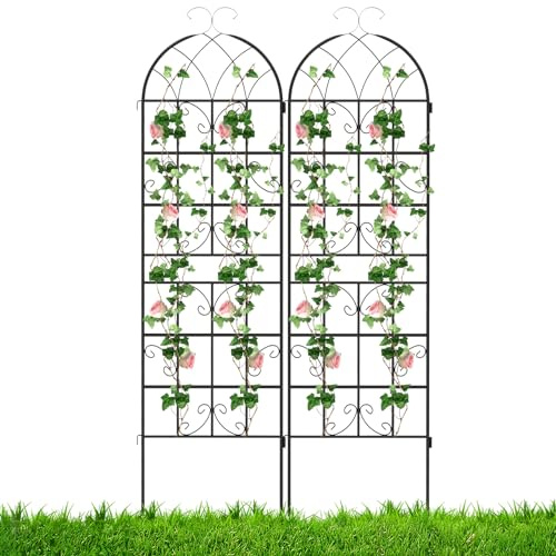 RELAX4LIFE Rankgitter 2er Set, Rankzaun Metall, Garten Spalier zum Stecken, Gartendeko Rosengitter Gartenzaun, Rankhilfe für Rosen Blumen Kletterpflanzen (180 x 50 cm,Schwarz)