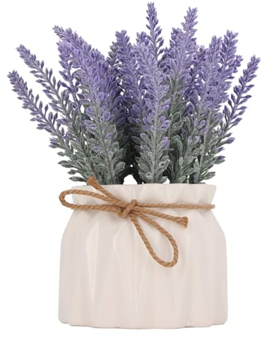 Qcwwy Künstliche Pflanzentöpfe, Kleine Sukkulenten, Pflanzen, Ornamente, Künstliche Pflanzentöpfe mit Keramikboden, Mini-Kunstpflanzen, Blumen, Dekorative Pflanzen für Zuhause, (7146C