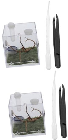 DRESSOOS 2 Sets Spinne Gehäuse Pet Box Spinne Lebensraum Box Landschaft Fall Für Schnecken