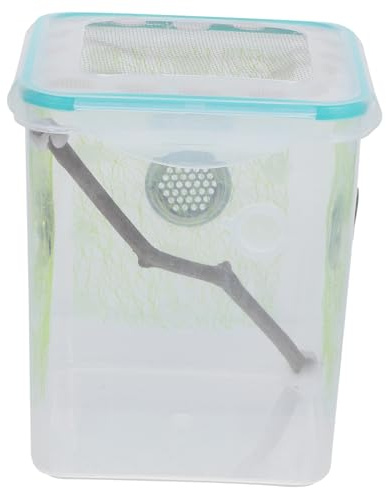 GRIRIW Futterbehälter Für Reptilien Und Insekten Kleines Kunststoff Terrarium Mit Seitlicher Belüftung Transparentes Gehege Für Gottesanbeterinnen Und Springspinnen