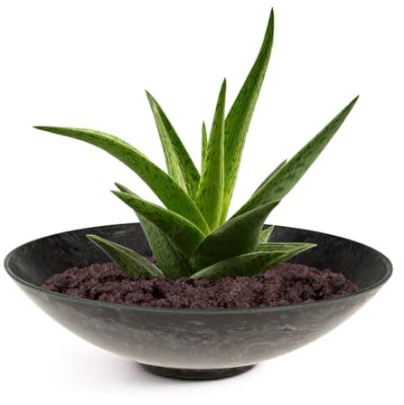 Matches21 Ciotola Rotonda per Fioriera in Plastica - Aspetto Marmo Grigio - Ø 28x8,5 cm - 1 Pezzo