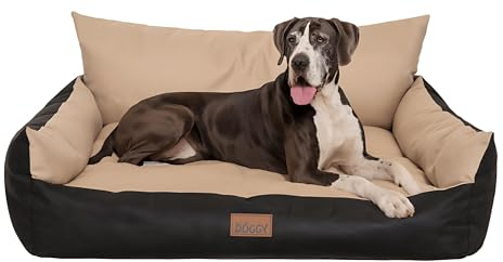 PillowPrim Hundebett - Möbel für Tiere, Katzenbett - Hundekorb für kleine mittelgroße & große Hunde - Hundekissen – Hundesofa – Hundeliege – Schlafplätze - 131x104 cm - Beige
