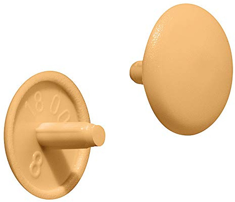 Gedotec Möbel-Abdeckkappen Kiefer Schrauben-Abdeckungen Kunststoff Schrauben-Kappe rund | H1123 | Verschluss-Stopfen für Kopflochbohrung PZ2 | Ø 12 x 2,5 mm | 20 Stück - Abdeckstopfen rund
