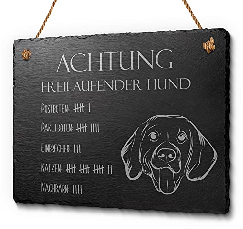 Vorsicht vor dem Hund Beagle Schild Vorsicht Hund Hier wache ich | Hochwertige Gravur auf Naturschiefer rechteckig 20x15 | Hinweisschild robust ideal für draußen