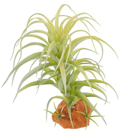 SEWOART Plantes pour Reptiles pour La Décoration des Aquariums des Plantes Grimpantes
