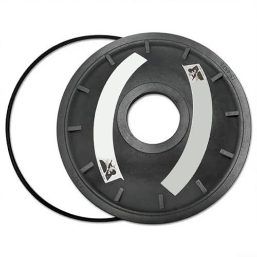 Filtre à sable en fibre de verre pour piscine Triton 154575, compatible avec les modèles Triton C TR100CTR140C et C 3 fabriqués avant mars 1997