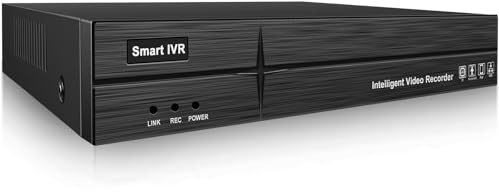 MWRCTV Videoregistratore di rete 4K 36CH NVR 4K per sistema di telecamere di sicurezza, supporta telecamere IP PoE HD da 8 MP, 5 MP, 4 MP, 2 MP, senza porta Poe, supporta 2 HDD fino a 32 TB (non