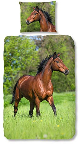 Traumschloss Renforcé Kinder Bettwäsche - Pferd, Wiese,135x200 / 80x80,