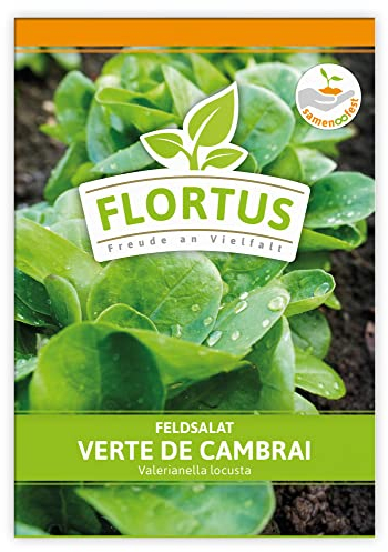 FLORTUS Feldsalat Verte de Cambrai | Gemüsesamen | Salatsamen | Feldsalatsamen | Samen zur Anzucht für Garten, Balkon, Küche & Fensterbank