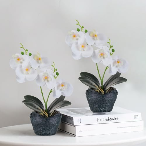 BLOSMON Orchideen Künstlich Blumen im Topf: 2 Stück Weiß Künstliche Orchidee im Vase (28cm) Kunstblumen wie echt Blume Pflanzen für Geschenk Zuhause Deko Büro Wohnzimmer Tischdeko Hochzeit Dekoration