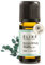 ELIXR – Eukalyptusöl zur Raumbeduftung, für Aromatherapie & als Massageöl – 100% naturreines ätherisches Öl aus Eukalyptus – zertifizierte Naturkosmetik aus Deutschland (10ml)