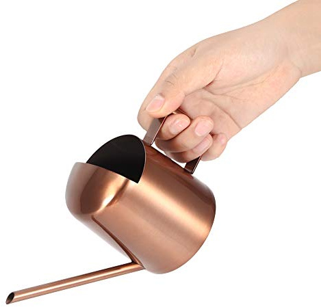 Mini Watering Can, 300ml Stainless Steel Watering Can Mini Plant Watering Can Small Watering Can Bonsai Watering Can for Outdoor Plants
