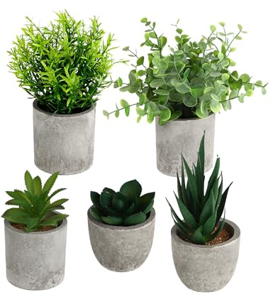 PaxCulina 5 piezas plantas artificiales – Plantas artificiales mini suculentas, Echeveria Claw, eucalipto – Decoración dormitorio – Plástico – Realista y fácil de cuidar – Para salón, oficina