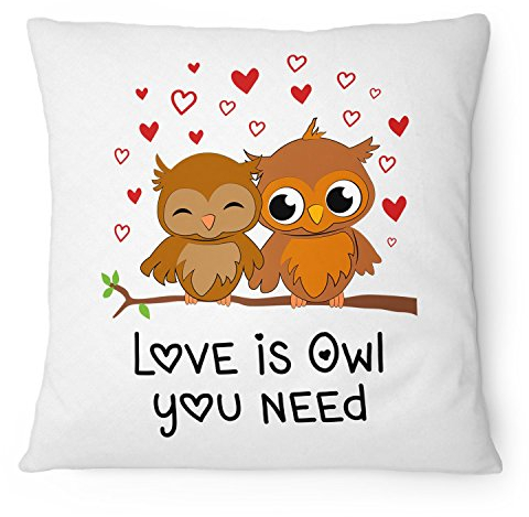Fashionalarm Kissen Love Is Owl You Need - 40x40 cm mit Füllung | Lustige Geschenk Idee für Paare & Eulen Fans zum Valentinstag & Weihnachten, Farbe:weiß