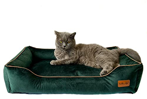 Halkalife Katzensofa, Samtsofa für einen kleinen Hund, Hundebett mit separatem Kissen und abnehmbaren Kissenbezügen, Hundebett aus dickem (S (60x40x15 cm), Flaschengrün)