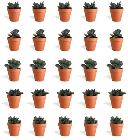 DutchLeafs Adromischus Mix 20 Stück Verschiedene Mini-Sukkulenten im Ø 7 cm Terrakotta Blumentopf - Crassulaceae Sukkulent Kleine Pflanzen Sammlung Pflegeleichte Zimmerpflanzen - Höhe 8-15 cm
