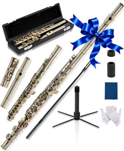 AKLOT Closed-Hole Concert C Flute: Flute Instrument with 16 Keys, Offset G, Smooth Cupronickel Keys, Air-Tight Pads, Include Stylish Leather Hard Case, Cleaning Kit, Stand, Gloves (LUM-AR)