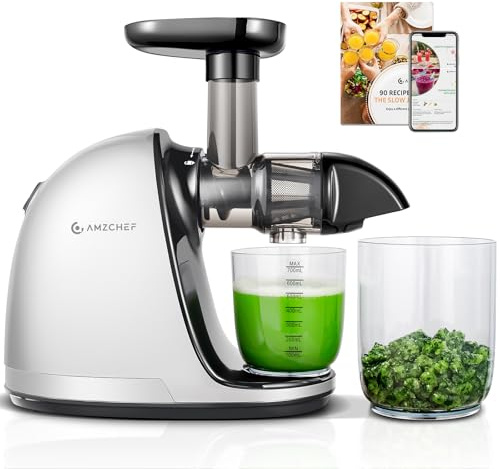 AMZCHEF Juicer Machines - Cold Press Slow Juicer - Masticating Juicer for Whole Fruits and Vegetables - Delicate Chew No Need to Filter