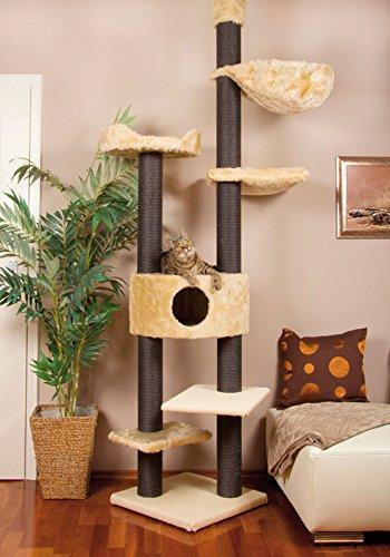 CLEVERCAT Deckenkratzbaum Ole, TOP Design mit schwarzen Säulen, stufenlos verstellbar, viele Schlafmöglichkeiten für Ihren Liebling in vielen Farben lieferbar Made in Germany