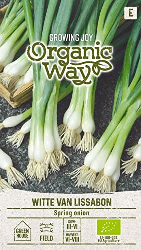 Organic Way | SEMILLAS DE CEBOLLA WITTE VAN LISSABON | Semillas de hortalizas | 1 paquete