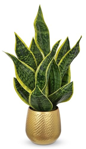 Arborus Kunstpflanze Sansevieria 46CM Künstliche Pflanze wie Echt Tischdeko