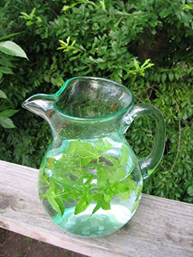 100 semi di Menta **molto profumato # 1094