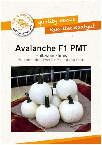 Kürbissamen Avalanche F1 Portion