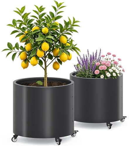 Jacklin F Macetas grandes para exteriores, Ø 61 * 56 cm de alto, de metal con ruedas, 150L para árboles de limón y verduras, 4 agujeros de drenaje para el balcón, jardín (2 piezas)