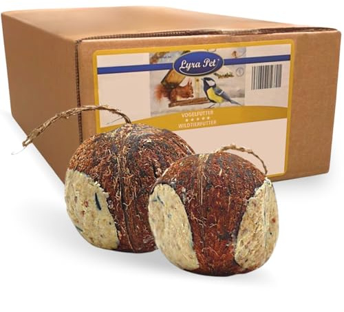 Lyra Pet® 4 Ganze Kokosnüsse mit 3 Löchern gefüllt - Vogelfutter Wildvögel | Fettreiches Wildvogelfutter - Kokosnuss mit Nährstoffreicher Füllung - Fettfutter für das Ganze Jahr - wie Meisenknödel
