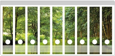 Wallario Ordnerrücken Sticker Spreewald in Brandenburg grüne Wälder und Spiegelungen im Wasser - Größe 9 Stück, Rückenschilder für 9 breite Ordner, Klebeetiketten