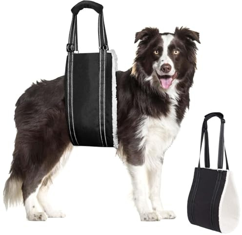 MHwan Tragehilfe Hund, Einstellbare Hunde Tragehilfe für die Unterstützung Von Behinderten und Älteren Hunden, um Sicherheitsunterstützung für Kleine, Mittlere und Große Hunde zu Unterstützen (XL) | Zur Unterstützung von behinderten und älteren Hunden zur sicheren Unterstützung von kleinen, mittleren und großen Hunden (XL)