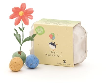 Wachsendes Geburtstagsgeschenk: 6 bunte Saatkugeln mit Saatgut im Mini-Eierkarton | Geburtstagsgruß Hoch sollst du leben | Verschenke Glückwünsche zum Aussäen | Geschenk zum Geburtstag oder Jubiläum