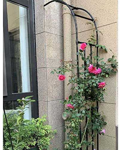 Garden Half Arches Metal Trellis For Roses Plants Arbor Arch Wall Mounted Pergola Height 2.4M, Weather-Resistant Resin, Heavy Duty Support (Color : Black, Size : W60XH240cm(2x7.9ft))