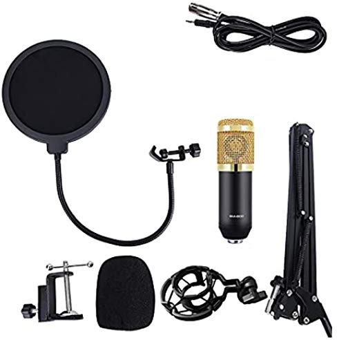 Live-Mikrofonzubehör, Effekte-V8-Soundkarten-Kombination, DJ-Mixer mit 12 Hintergrundsounds, 2-Kanal-Audio-Interface, doppelter Pop-Filter für Laboraufnahmen und Übertragungen