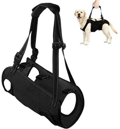 Harnais de levage pour chien - Aide au transport pour chien - Harnais de levage pour chien - Harnais de soutien pour pattes arrière des chiens avec poignées - Pour handicapés, blessés ou personnes