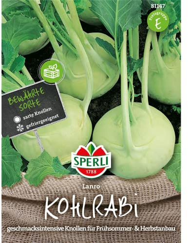 81147 sperli premium kålrabbi frön lanro | aromatisk delikat | inte träig | skottsäker | kålrabbi frön