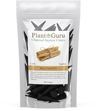 Palo Santo Charcoal Incense Cones 2 TOPFLOW - 60 Pack Bulk - Natural Scented Cones Handmade Hand Dipped