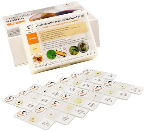30 Prepared Microscope Slides with Specimens for Kids Students - Insects, for Biological Science Lab, Children's Science Education, Homeschooling Use
