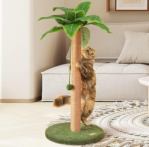 ShkitAelling Kratzbaum Katze, Kratzsäule mit baumelndem Ball, 80 cm Hoch, Premium-Sisalseil Kratzstamm für Wohnungskatzen, Möbelschutz und Wohnraumdekoration
