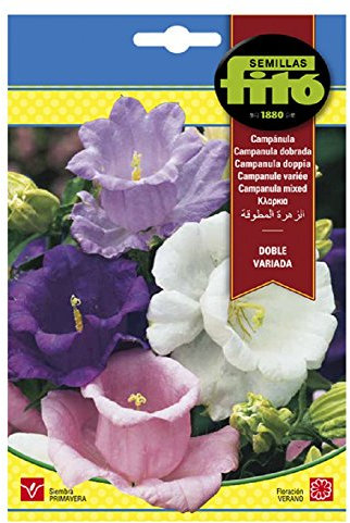 Semillas Fitó 516 - Semillas de Campánula Doble Variada