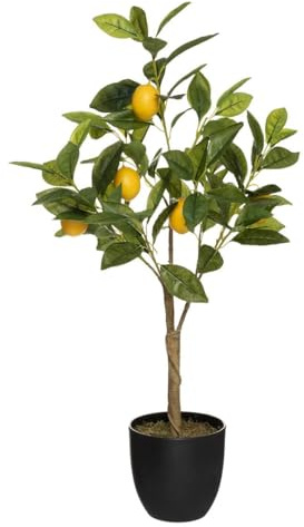 Atmosphera Limonero H 70