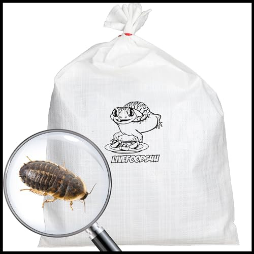 Livefoods4u Live Dubia Roaches Large 20-30mm Bag of 100 | Reptile Food