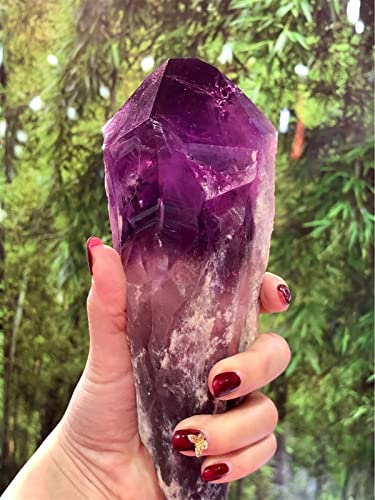 BIANMTSW Amatista Piedra en Bruto Amatista Natural Cuarzo Cristal Varilla Punto Espécimen Cetro Piedra Preciosa curativa Inicio Colecciones (Size : 400-500g)