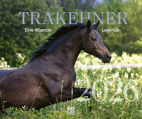 Trakehner 2026: Eine lebende Legende