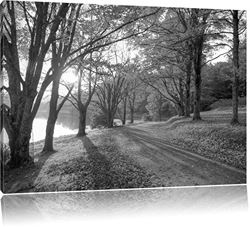 Pixxprint Herbstlicher Park am See B&W, Größe: 80x60cm, Leinwandbild, fertig gespannt, Wandbild, Dekoration, Kunstdruck, kein Poster