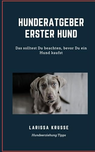 Hunde Ratgeber erster Hund: Hundeerziehung Tipps