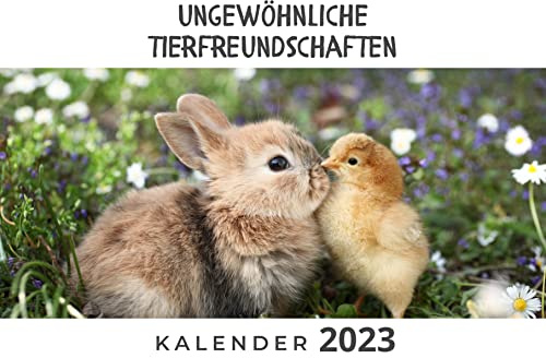 Ungewöhnliche Tierfreundschaften: Kalender 2023