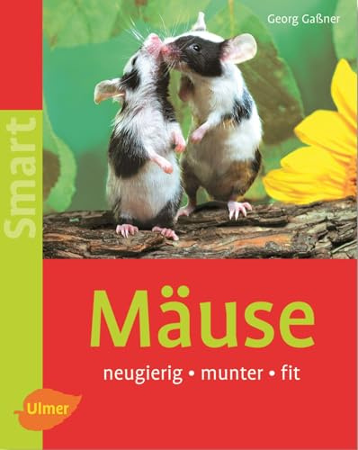 Mäuse: Neugierig - munter - fit (SMART)