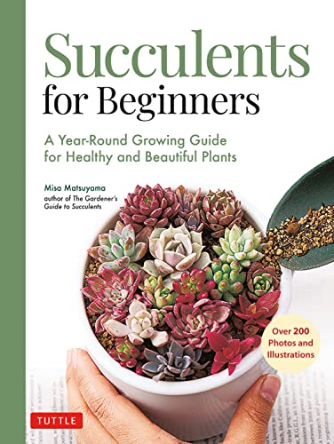 Succulents for Beginners: A Year-Round Growing Guide for Healthy and Beautiful Plants: A Year-Round Growing Guide for Healthy and Beautiful Plants (over 200 Photos and Illustrations)